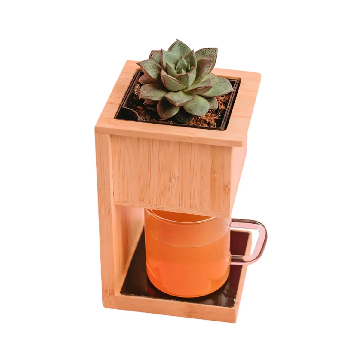 Alder Charger Planter – Growing Basil in Office, Green Productivity