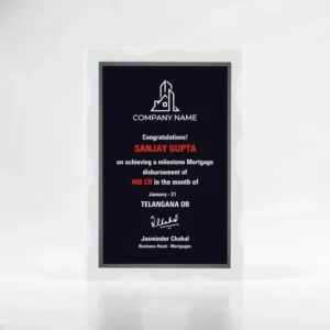 Elegant Crystal Volunteer Awards