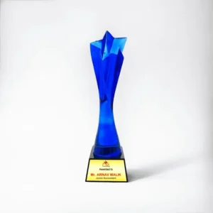 Prestigious Crystal Executive Awards