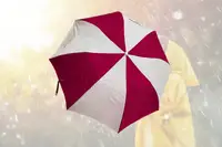 Custom umbrella 2 fold 21 inch with logo print corporate gifting