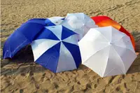 Umbrella with print 2 fold 24 inch custom printed bulk order India