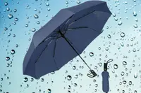 3 fold auto close umbrella printing with company logo bulk corporate order