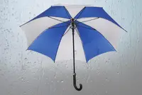 Single fold J handle umbrella with logo corporate gifting India